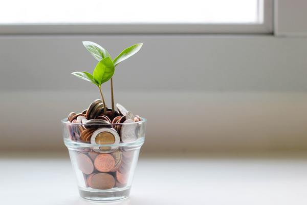 Plant pot full of coins