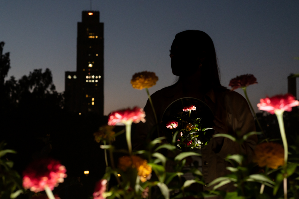 A U. of Pittsburgh senior, with the Cathedral of Learning, home to Pitt’s Title IX office, in the background.