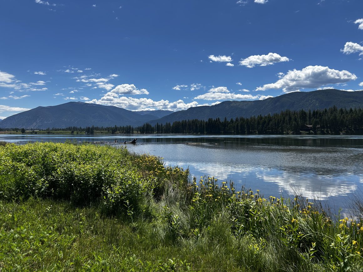 A beautiful scene showing blue water flowing in a river, mountains in the background and grasses and flowers in the foreground